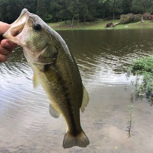 Meet your Posher, Drake